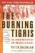 The Burning Tigris: The Armenian Genocide and America s Response