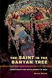 The saint in the banyan tree : Christianity and caste society in India