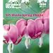 "Gardeners' World" 101 - Shade-loving Plants: Ideas to Light Up Shadows (Gardeners' World Magazine 101)