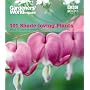 "Gardeners' World" 101 - Shade-loving Plants: Ideas to Light Up Shadows (Gardeners' World Magazine 101)