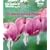 "Gardeners' World" 101 - Shade-loving Plants: Ideas to Light Up Shadows (Gardeners' World Magazine 101)