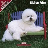 Eigenschaften Avonside Publishing Ltd.  / Kalender 2009 Bichon Frisé