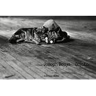 Joseph Beuys: Coyote by Caroline Tisdall