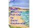 Bondi Detective Part One