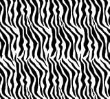 Zebra Black & White Striped Tissue Paper 20