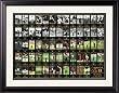 Framed Champions of the Masters Card Collection