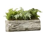 Faux Bois Pine Mountain Trough Timber