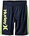Hurley Little Boys' Logo Mesh Short