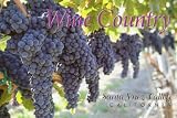 SBPC 54-09I WINE COUNTRY SANTA YNEZ VALLEY CALIFORNIA .. POST CARD .. from Hibiscus Express