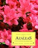 Azaleas