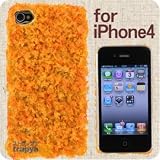 iMeshi Japanese Food iPhone 4 Cover (Tonkatsu)