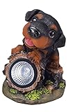 エイチツーオー 子犬付スポット型ソーラーライト ダックス H163