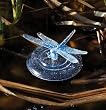 Solar Floating Lamp with Dragonfly Solar Floating Lamp with Dragonfly