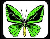Decorated Mouse Pad with green, insect, antennae, butterfly, wings