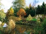 51sS8iUyX3L. SL160  Colourful Autumn Trees Reflected in Lake, and Planting of Cortaderia (Pampas Grass) at Lake Edge Photographic Poster Print by Mark Bolton, 36x48