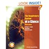 The Respiratory System at a Glance