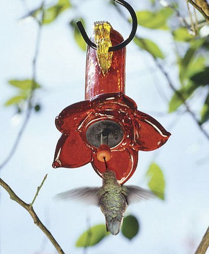 Parasol - Red Flower Nectar Feeder