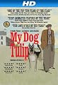 play video on Amazon Instant Video