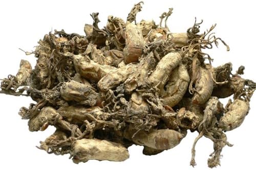 Pure Wild Rare Cordyceps Sobolifera, Chinese Famous Nourishing Herb Tea 250g