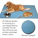 Pet Pad, 24 x 36 Sky Blue