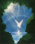 10 pack of Angel Falls greeting cards