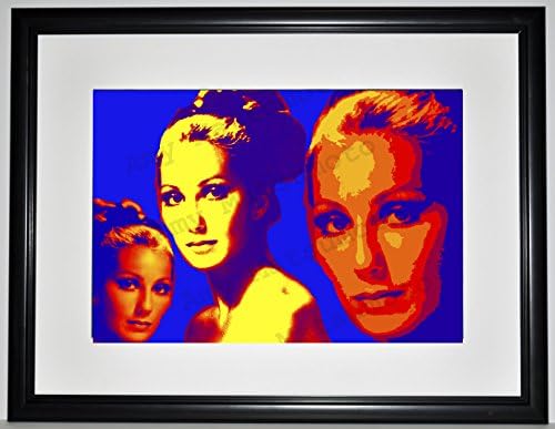 Cher 19x25 Custom Framed Limited Edition Print by Amy Matsumoto