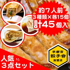 宇都宮餃子会正会員　宇都宮餃子さつき　食べ比べ　人気3点セット　【45個入】