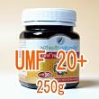 【NZHN社】　アクティブマヌカハニー　UMF20+　250g　認定証付き ニュージーランドヘルスナチュラリー（NZ health naturally）マヌカ蜂蜜