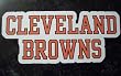 Cleveland Browns Team Name NFL Car Magnet