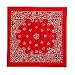 RED BANDANA - O/S - RED