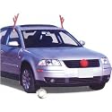 Reindeer Car Kit