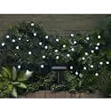 Smart Solar 3732WR30 Solar Light String - 30pc set - Crystal Balls - Try Me Box