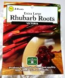 Victoria Rhubarb