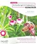 Foundation ActionScript 3 Animation