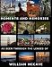 Moments And Memories As Seen Through the Lenses Of