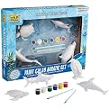 Aquatic Paint & Play
