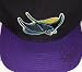 Tony Saunders autographed Tampa Bay Devil Rays cap