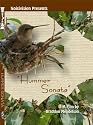 Hummer Sonata