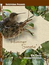 Hummer Sonata