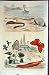 1839 H/C Natural History *029 Sea Creatures Butterflies