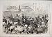 1868 Prince Alfred Australia Adelaide Horse Old Print