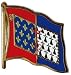 Pin's (épinglette) Drapeau France Pays de la Loire - 2 x 2 cm