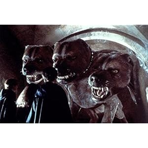 Harry potter à l'école des sorciers - Edition spéciale [Blu-ray]