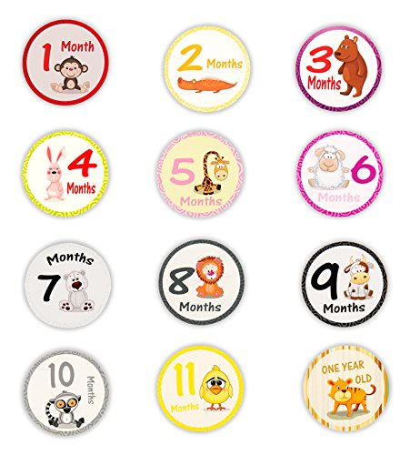 Maria jane unisex baby monthly stickers 20 sticker set,…