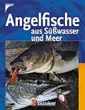 Angelfische aus Suesswasser und Meer