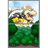 Mario & Luigi Bowser s Inside Story