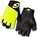 Giro Men's Zero II Gloves
