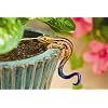 Orbit Darwin Pot Hanger Gecko Kit 67621