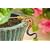 Orbit Darwin Pot Hanger Gecko Kit #67621