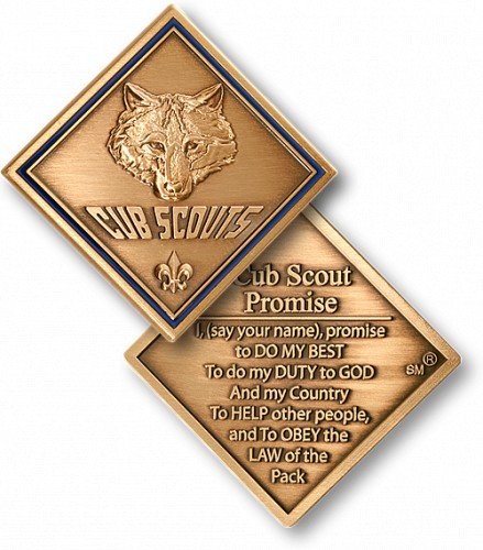 Cub Scout Promise